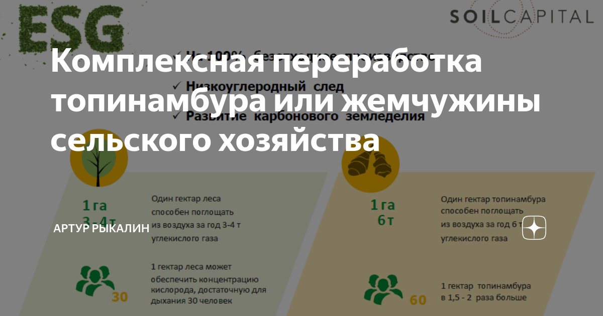 Комплексная переработка топинамбура или жемчужины сельского хозяйства ...