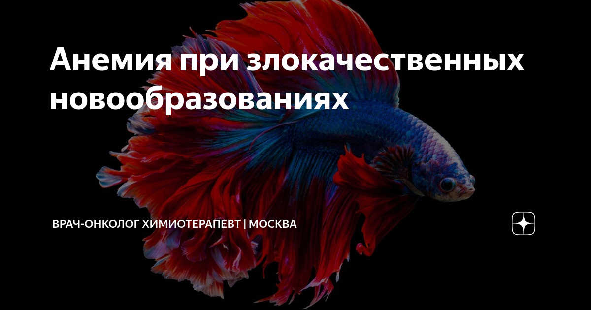 Анемия при злокачественных новообразованиях | Дарья Кобец. Врач-онколог ...