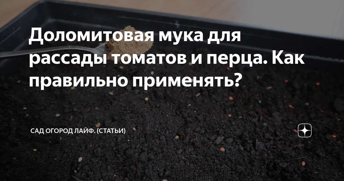 Доломитовая мука для рассады томатов и перца. Как правильно применять ...