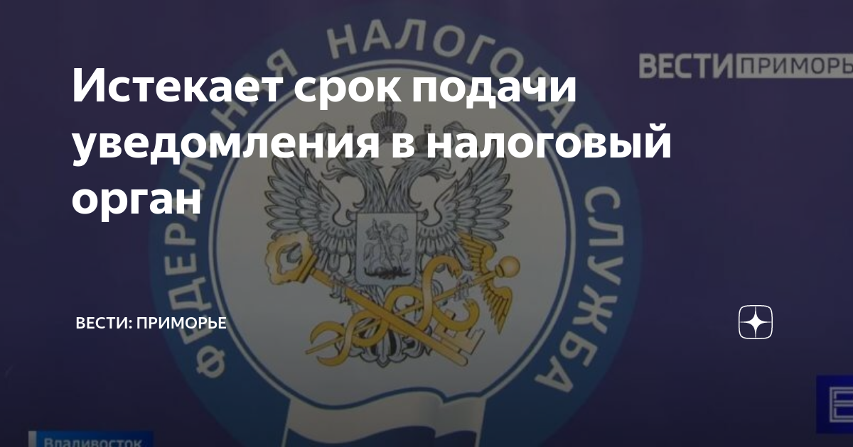 Срок подачи уведомления. Сроки подачи уведомлений 2024. Срок подачи уведомления в феврале 2024. Извещение об осуществлении закупки. Срок сдачи уведомления по ндфл.