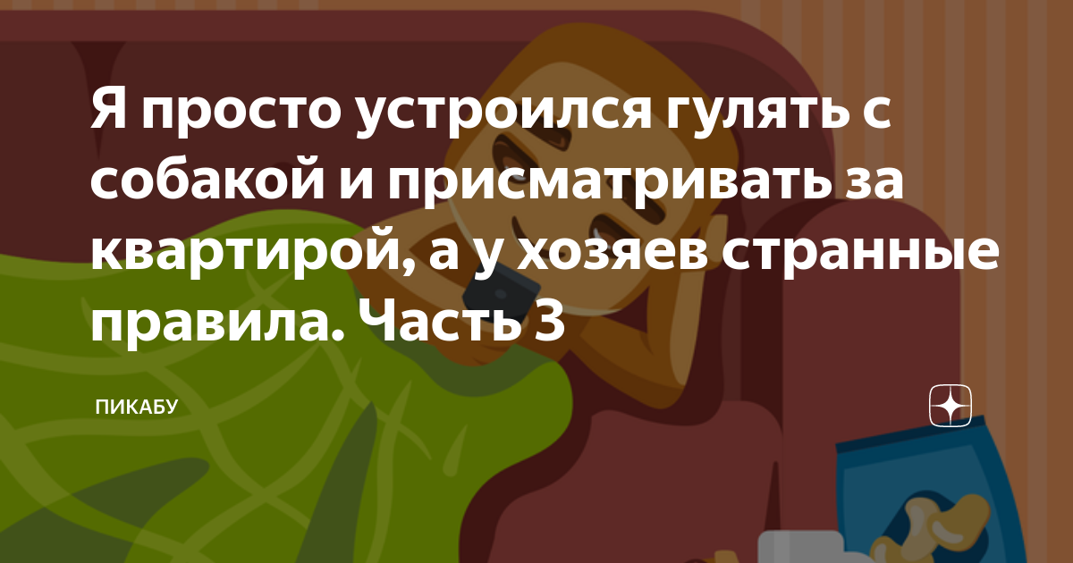 когда лучше всего гулять с собакой