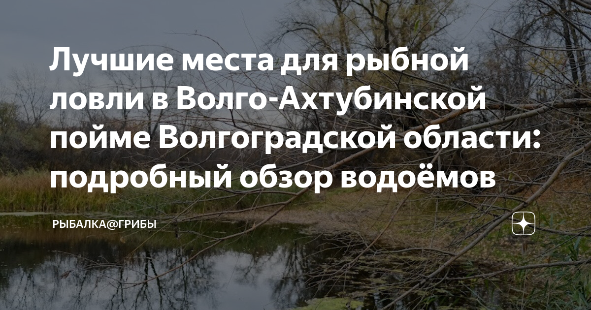 Лучшие места для рыбной ловли в Волго-Ахтубинской пойме Волгоградской ...