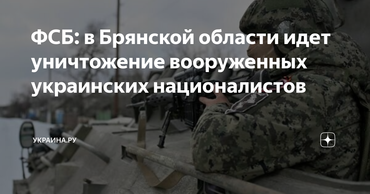 ФСБ: в Брянской области идет уничтожение вооруженных украинских ...