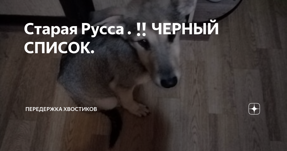 Старая Русса .‼️ЧЕРНЫЙ СПИСОК. | Передержка хвостиков | Дзен