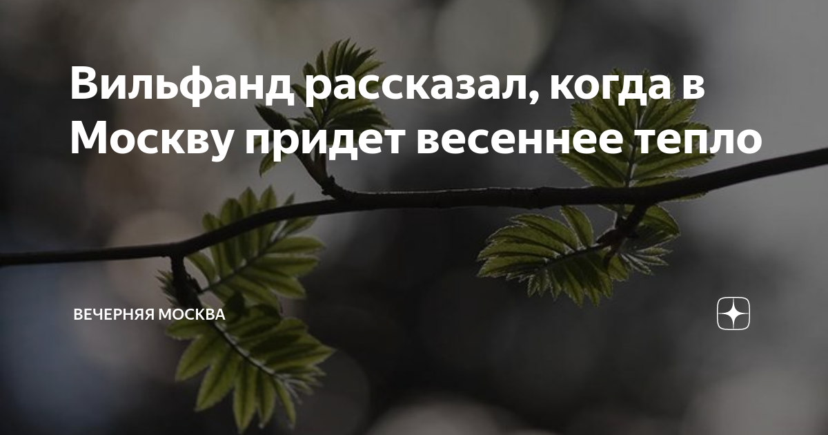 Вильфанд рассказал, когда в Москву придет весеннее тепло | Вечерняя ...