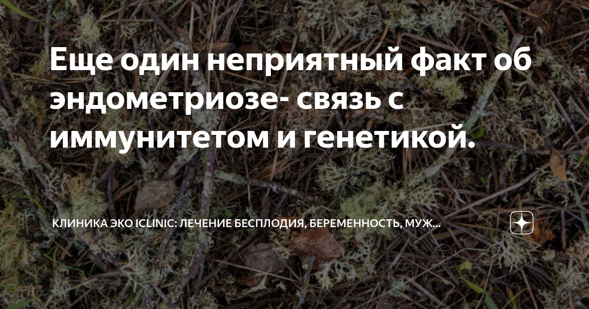 Еще один неприятный факт об эндометриозе- связь с иммунитетом и ...
