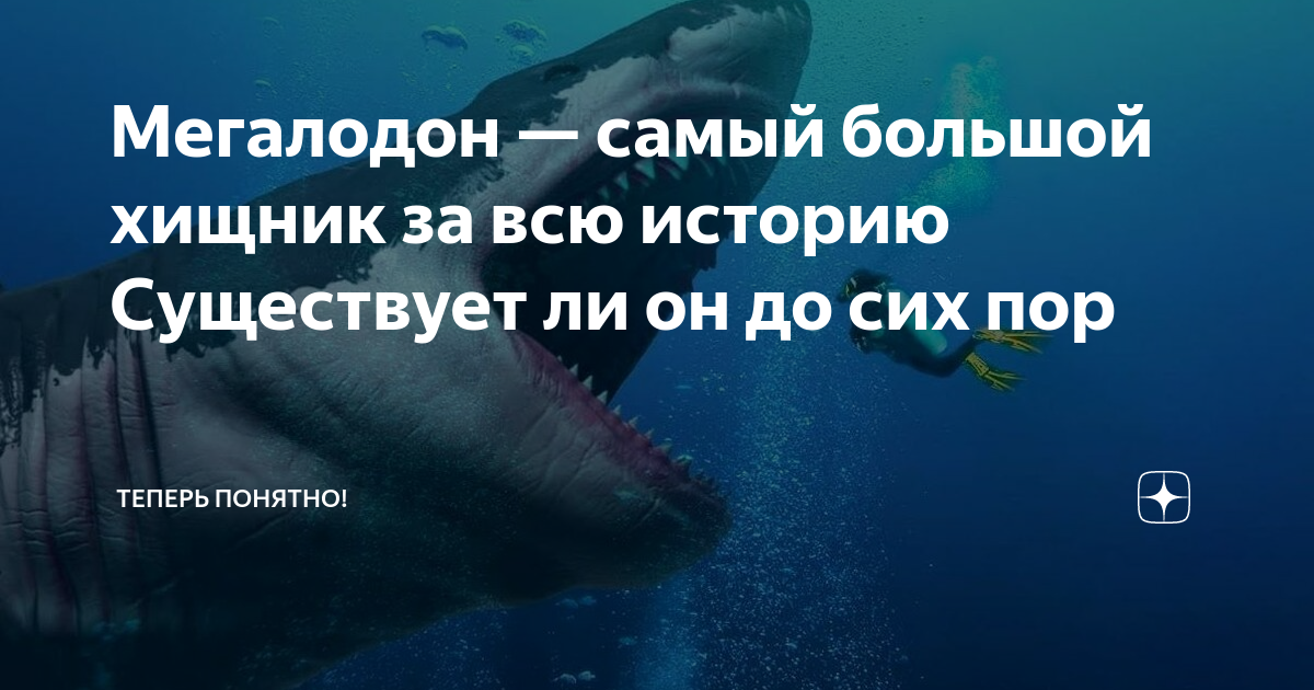 Вес мегалодона. Факты про МЕГАЛОДОНА. МЕГАЛОДОН факты. Рассказ про МЕГАЛОДОНА. МЕГАЛОДОН интересные факты.