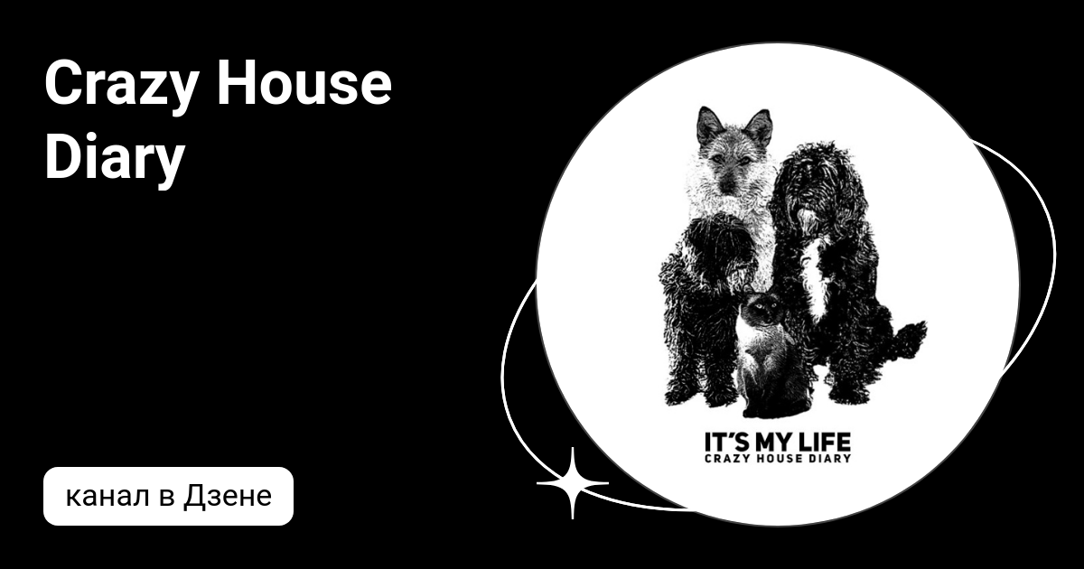 Crazy House Diary Дзен