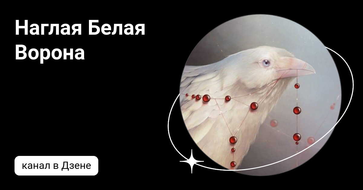 Белая ворона дзен отзывы. Белая ворона дзен. я ворона белая я я.