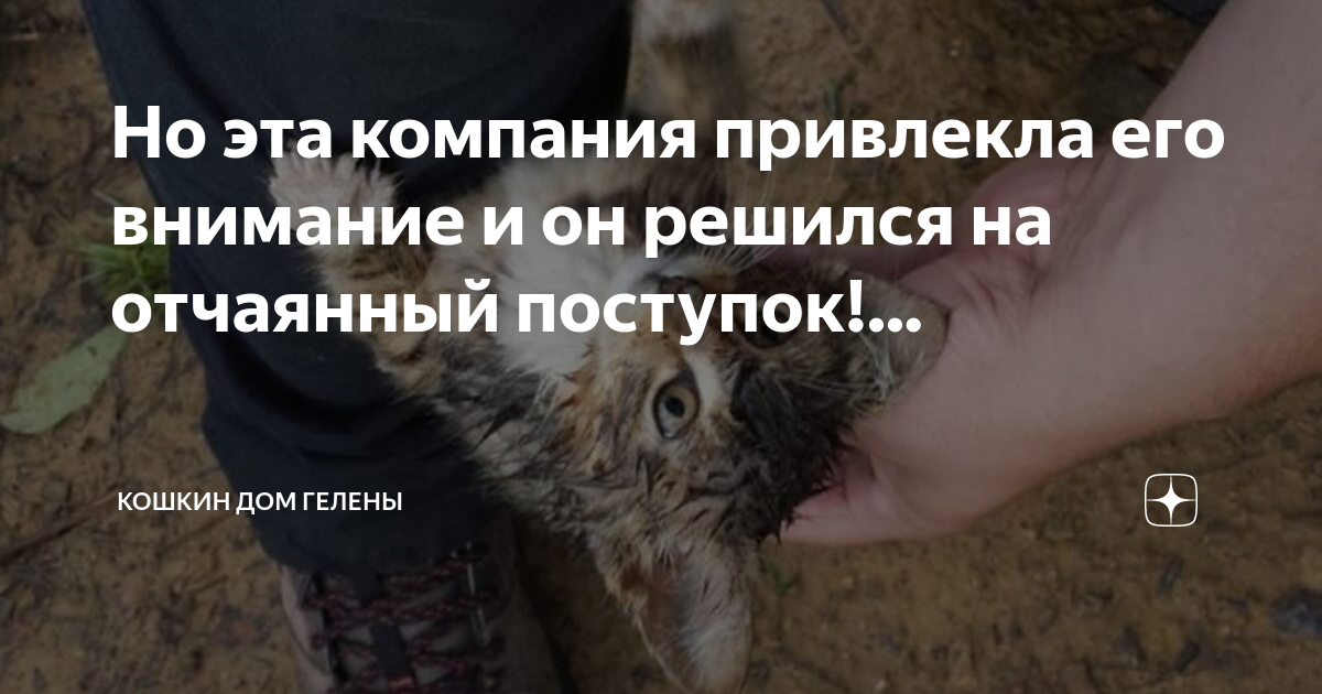 Но эта компания привлекла его внимание и он решился на отчаянный ...