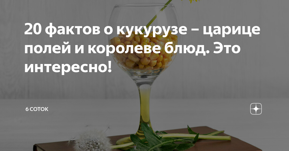 Из кукурузы делают штукатурку