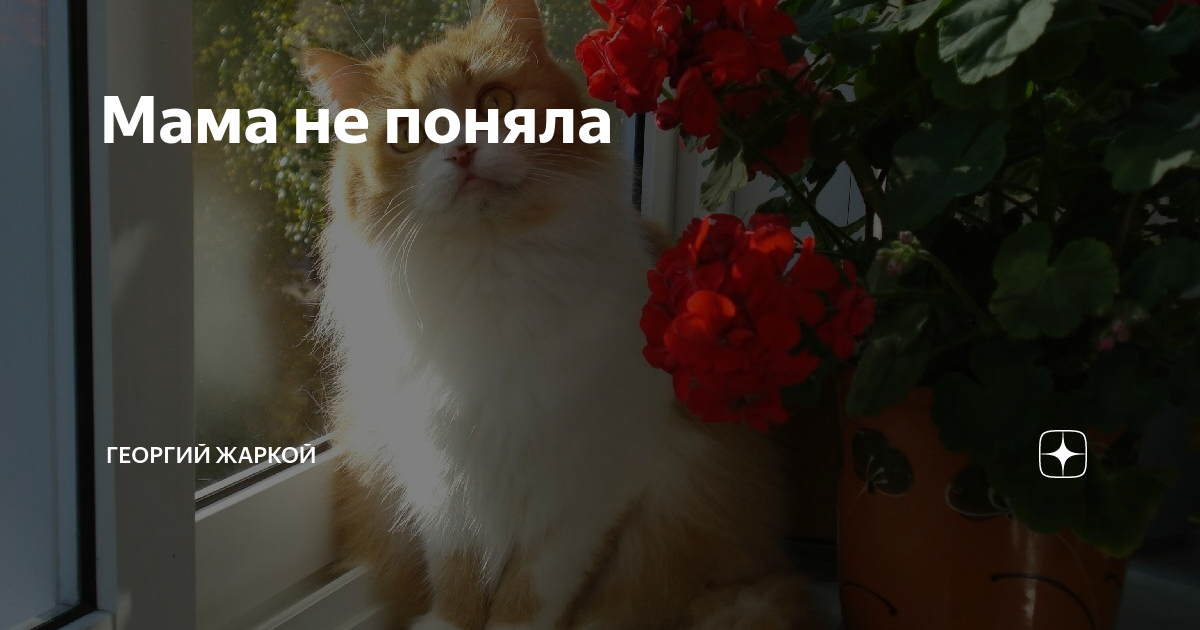 почему мама сергея градского не выходит из дома