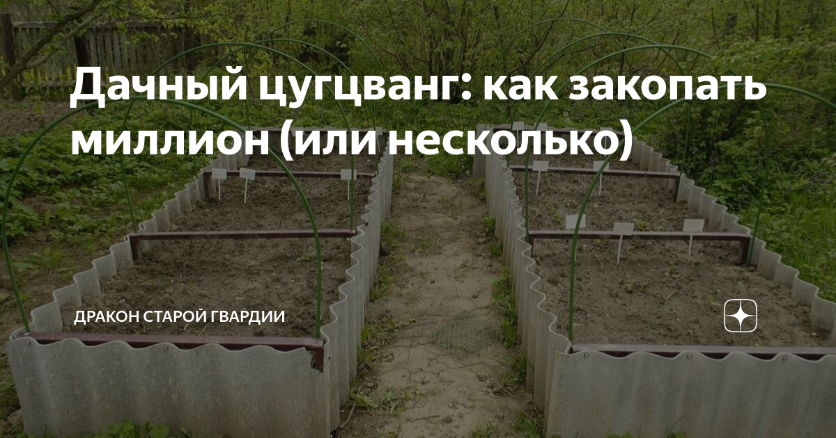 Дачный цугцванг: как закопать миллион (или несколько) | Дракон старой ...