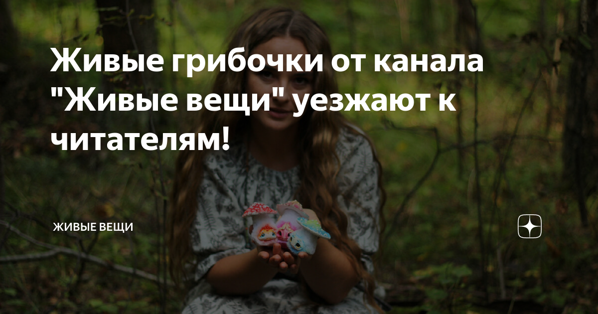 Монолог живые вещи. Канал живые вещи. Монолог живые вещи. Любой объект. Катерина пискунова дзен.