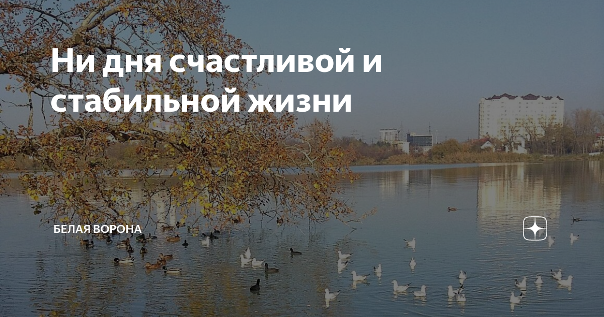 Ни дня счастливой и стабильной жизни | Белая ворона | Дзен
