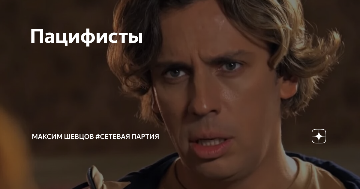 Фирма партия. Политическая сеть в россии. Сетевые партии. Сети партия. Максим шевцов сетевая партия.