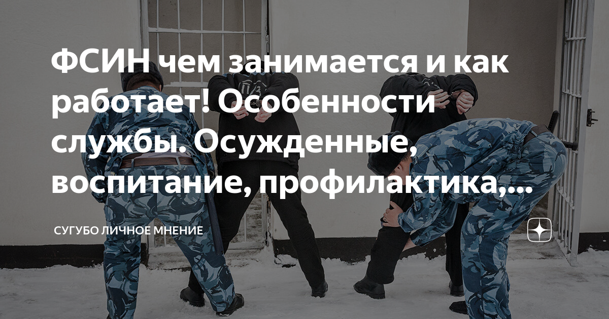 статья применение физической силы фсин