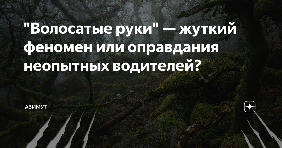 феномен сомоджи. сознание. феномена ли. феномен рикошета в фармакологии. феномен это.