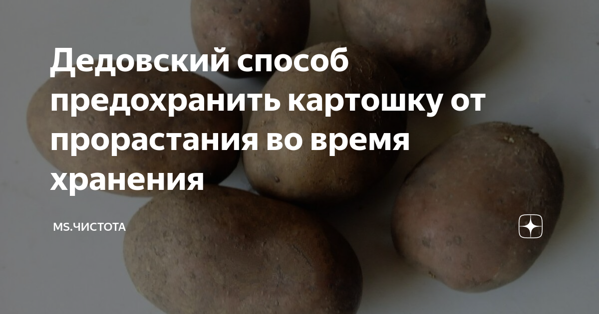 Что сделать, чтобы картошка не прорастала