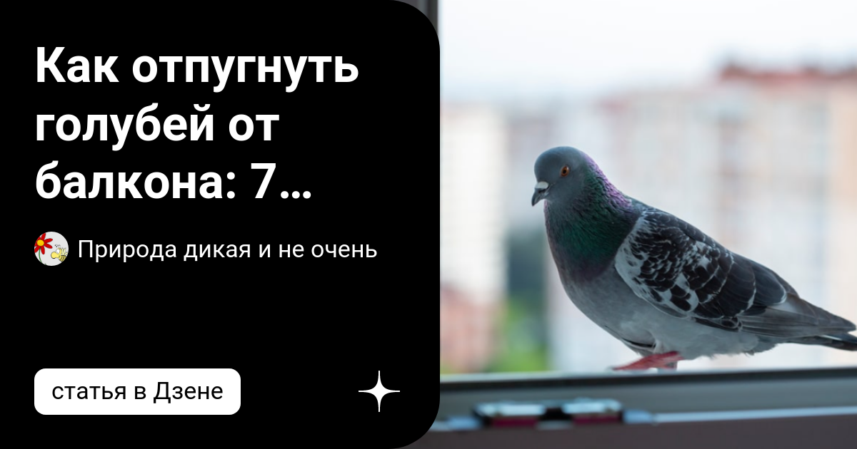 Чем отпугнуть голубей