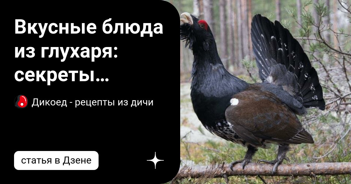 Видео рецепт приготовления глухаря в рукаве с картошкой: как вкусно замариновать
