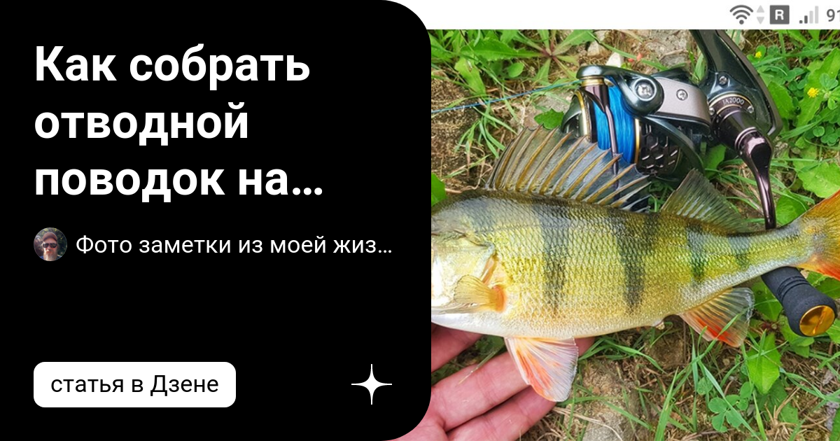 как собрать спиннинг на карпа