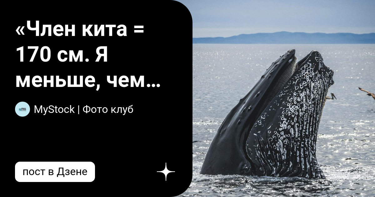 Почему банда Горбатого просто не сбежала? Зачем полезли в подвал и попались в ловушку МУРа?