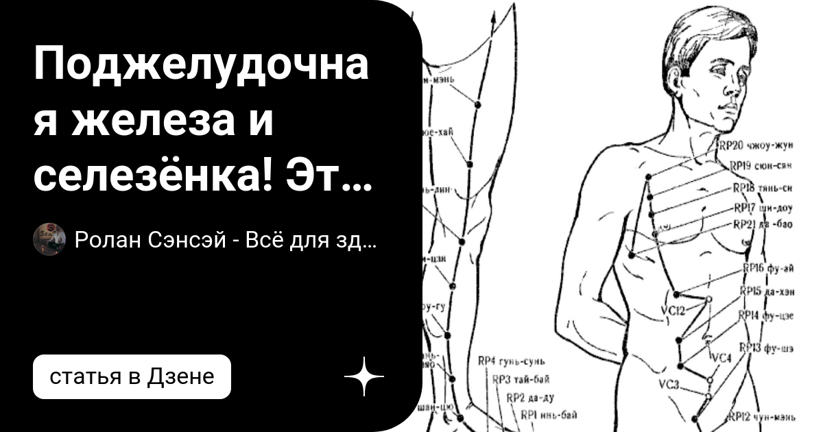 Поджелудочная железа и селезёнка! Эти симптомы могут говорить о ...