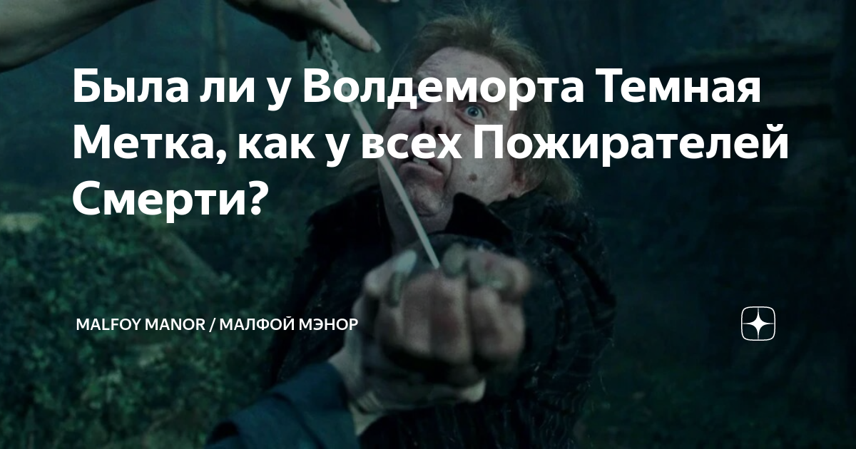 Была ли у Волдеморта Темная Метка, как у всех Пожирателей Смерти ...