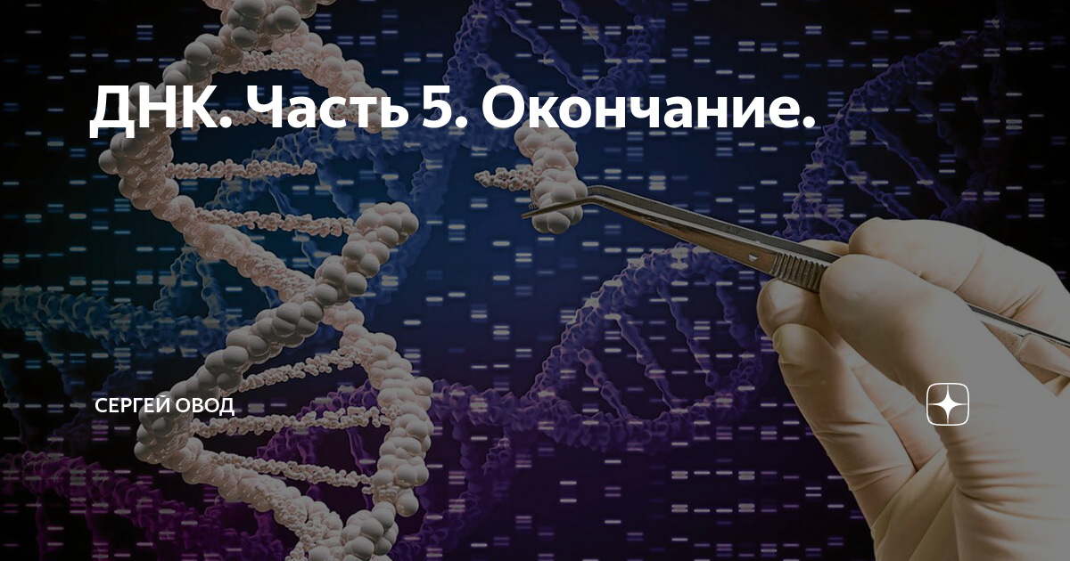 сколько остается днк во рту после поцелуя