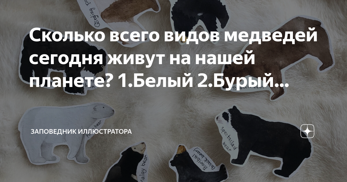 Сколько медведей в москве. Медведица с медвежатами в берлоге. Бурый медведь в берлоге. Сколько медведей в москве. Медведица кормит медвежат молоком.
