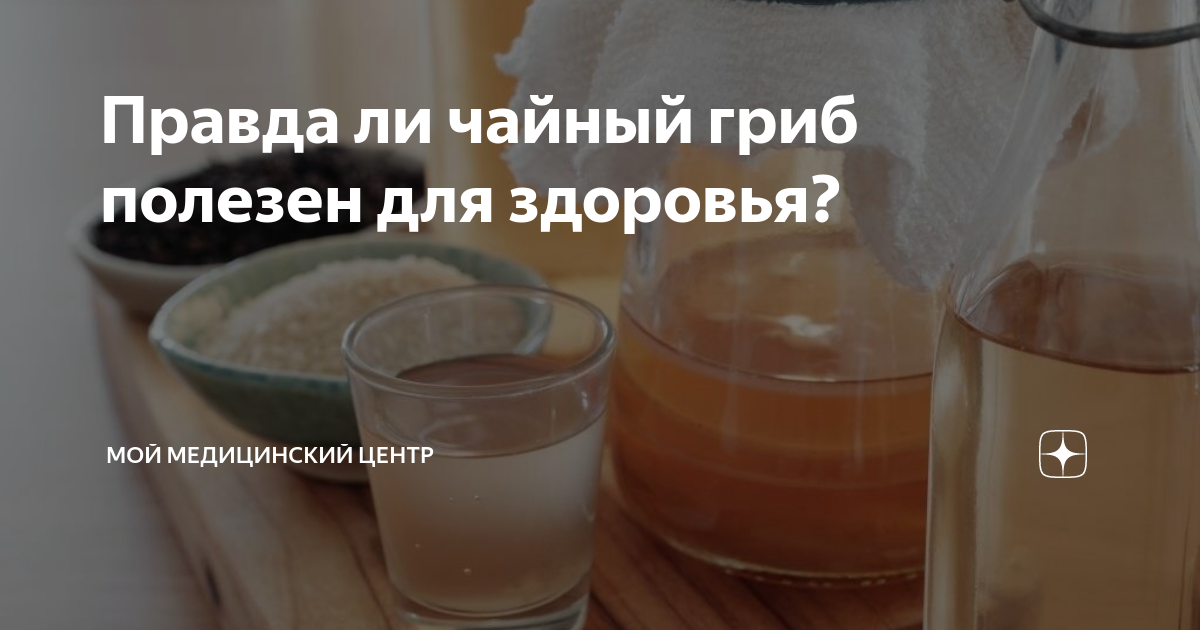 Правда ли чайный гриб полезен для здоровья? | Мой медицинский центр | Дзен