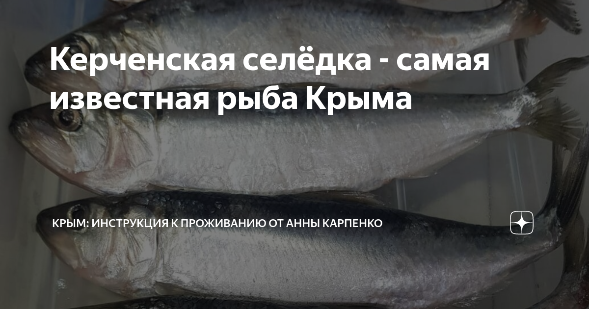 Керченская селёдка - самая известная рыба Крыма | Жизнь в Крыму с Анной ...