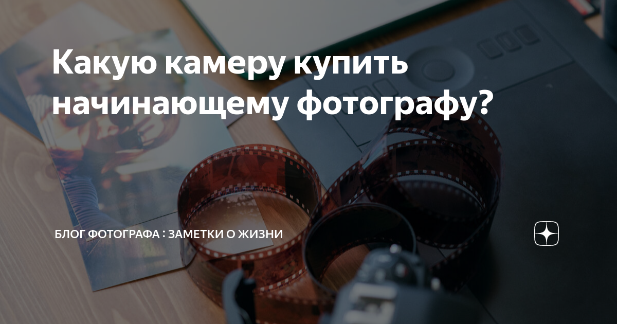 Какую камеру купить начинающему фотографу? | Strkv || Производство ...
