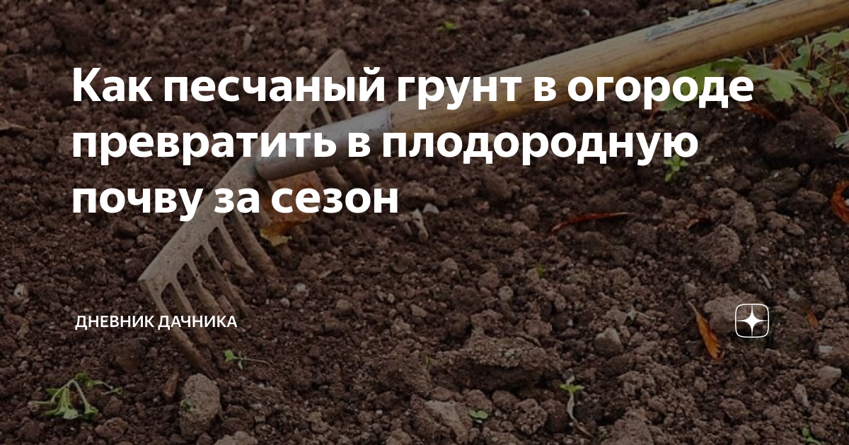 Как песчаный грунт в огороде превратить в плодородную почву за сезон ...
