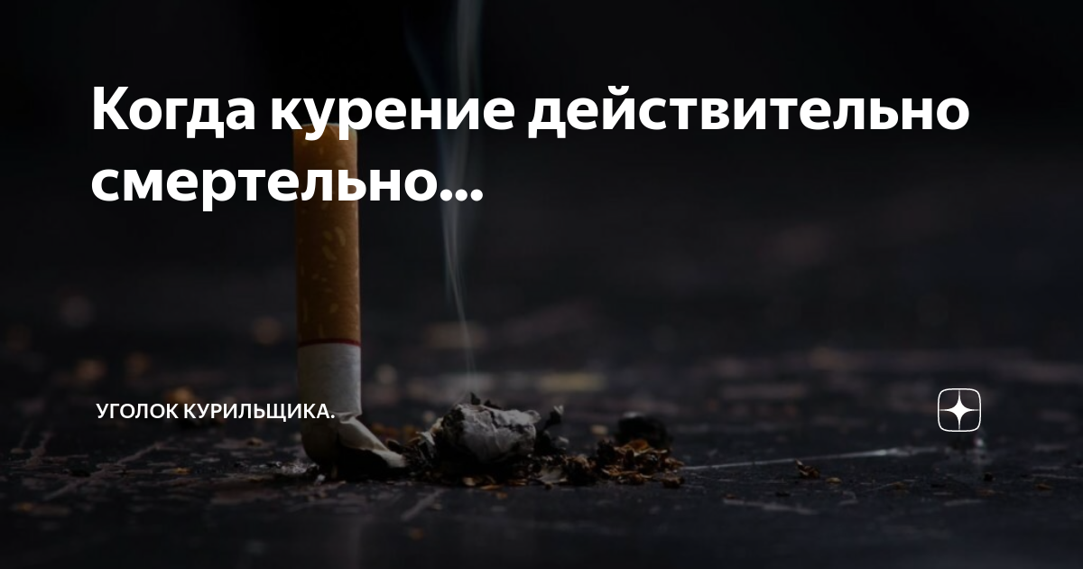 как правильно курить сигареты. почему люди курят. туалет курит. почему постоянно хочется курить. почему когда куришь хочется в туалет.