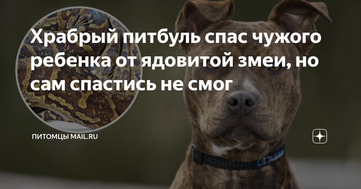 Не спас чужого ребенка
