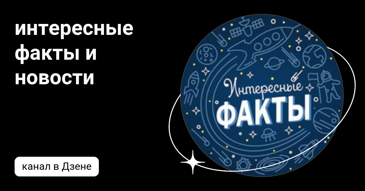 Новое и интересное | Дзен