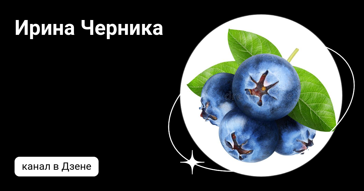 Черника дзен