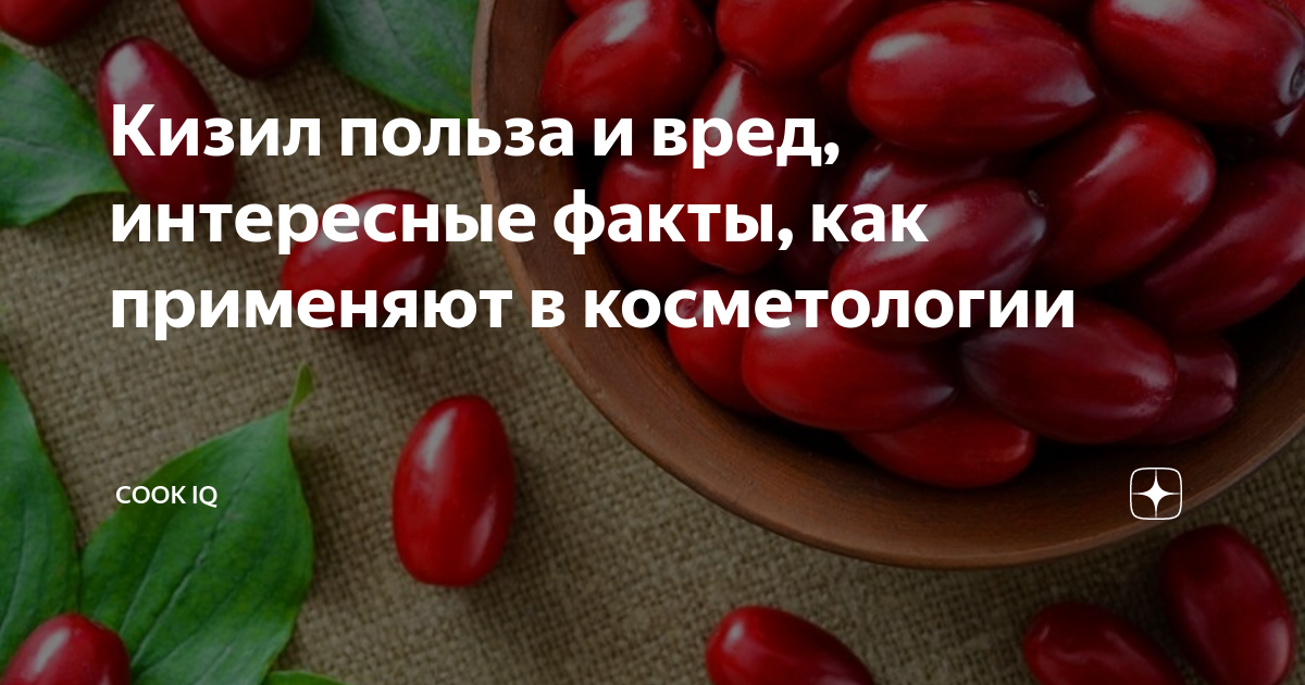 Чем полезен кизил. Кизил чем полезен для организма мужчин. Кизил полезные свойства. Ягоды кизила польза и вред для организма. Кизил чем полезен для организма мужчин.