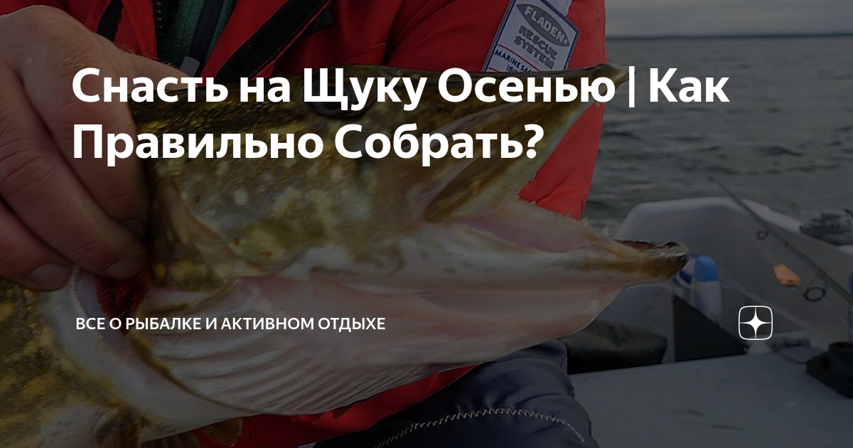 Снасть на Щуку Осенью | Как Правильно Собрать? | Все о Рыбалке и ...