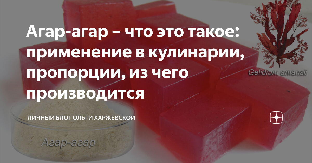 Агар-агар – что это такое: применение в кулинарии, пропорции, из чего ...