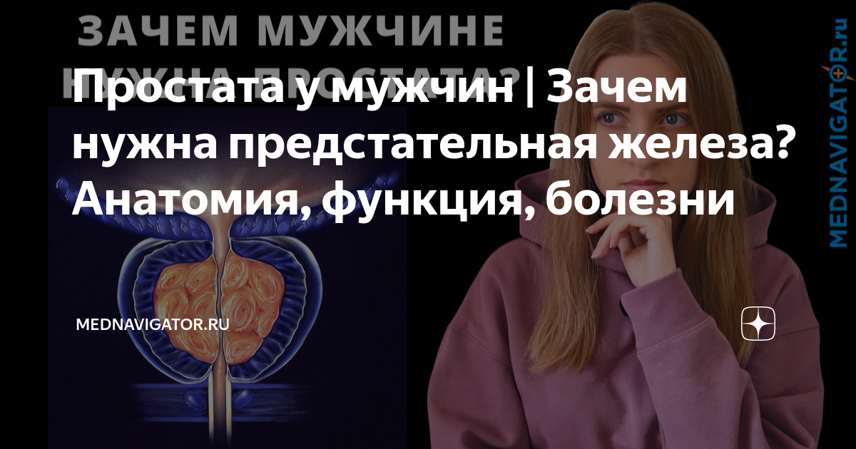Простата почему приятно. Зачем нужна простата мужчине. Простата зачем. Для чего нужна простата.