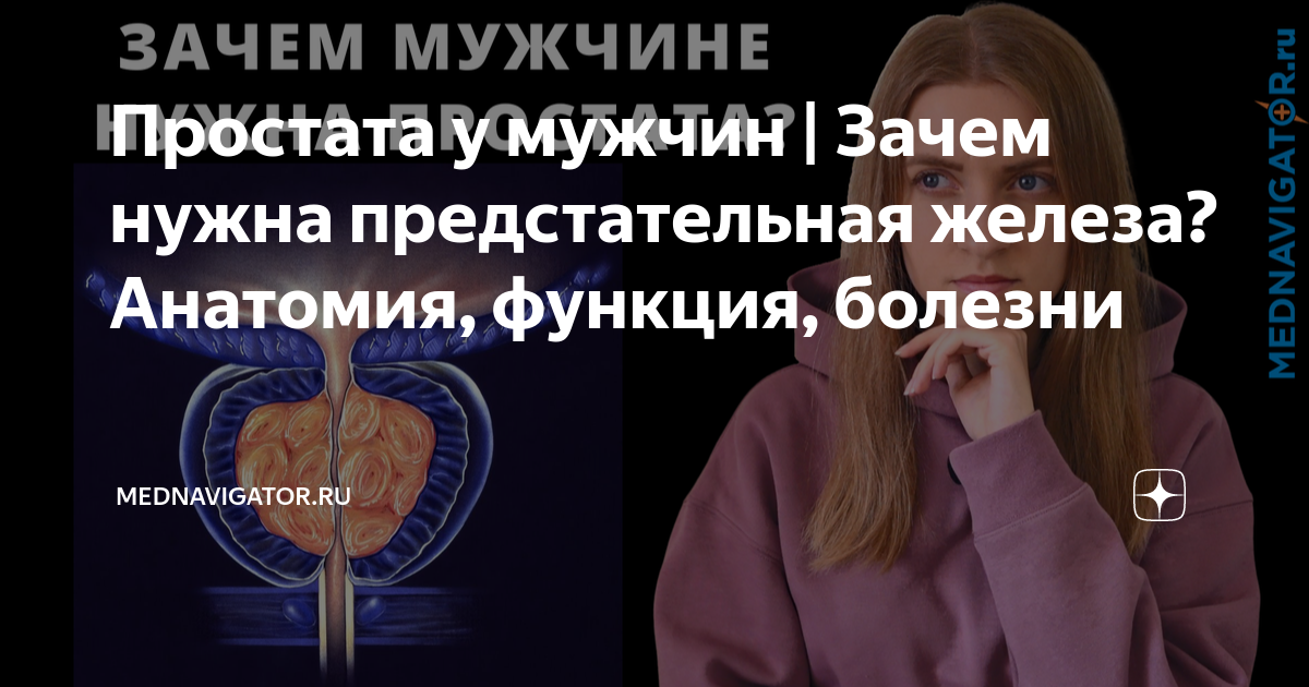 Простата почему мужчинам нравится. Зачем нужна простата мужчине. Простата зачем. Для чего нужна простата.