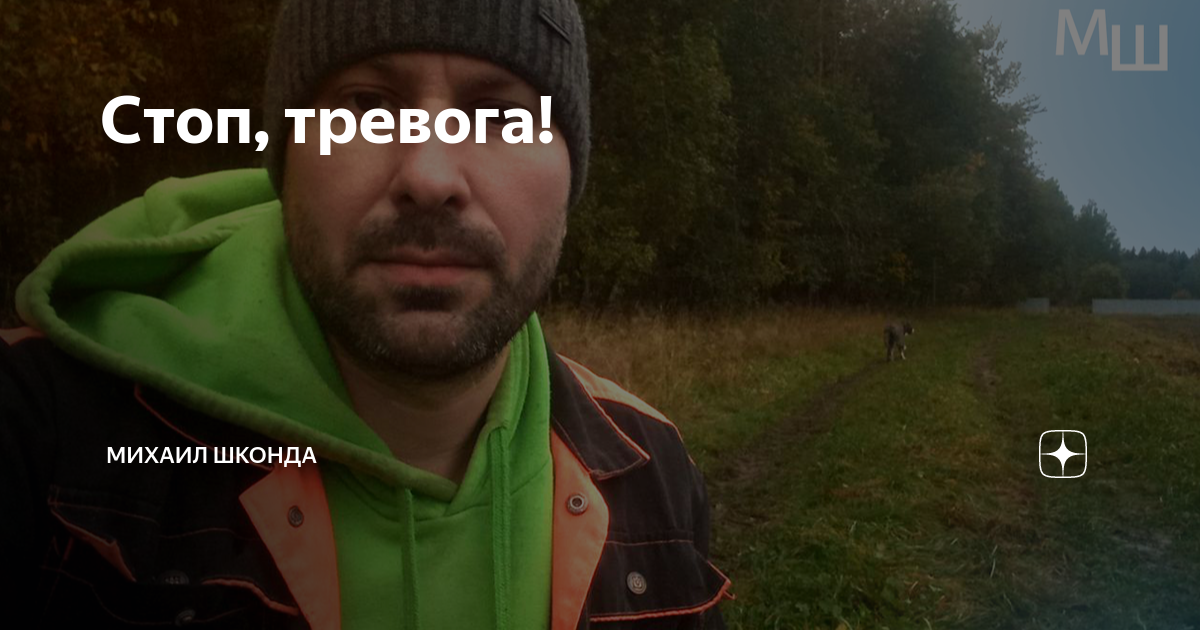 курпатов тревога