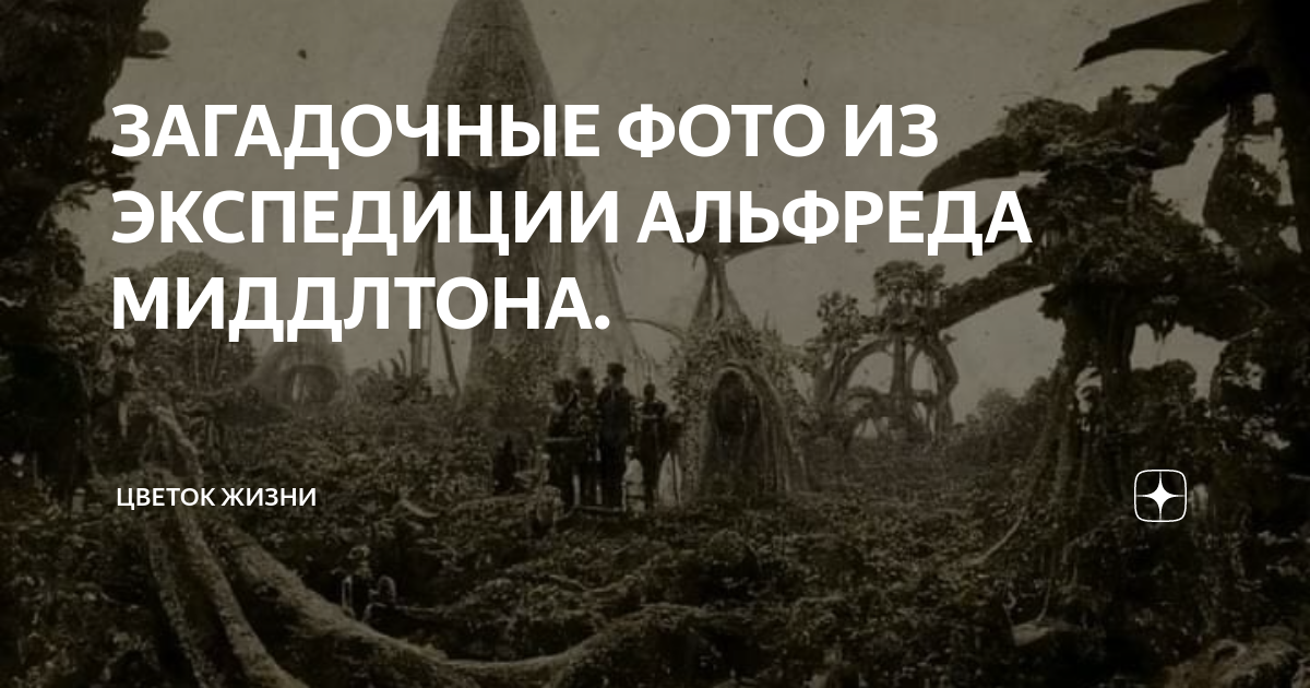 Альфред миддлтон фотографии экспедиции