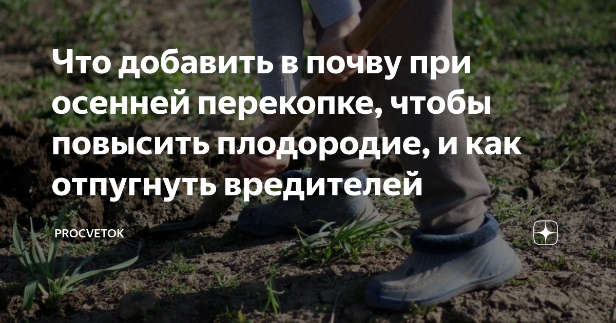 Что добавить в почву при осенней перекопке, чтобы повысить плодородие ...