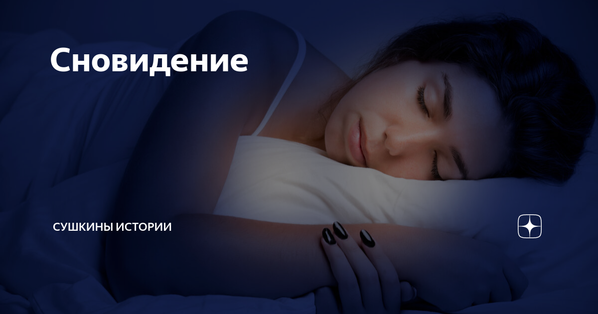 Сновидение | Сушкины истории | Дзен