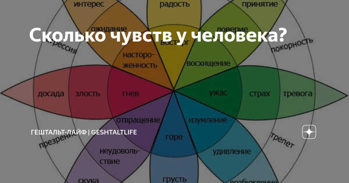 Через сколько чувств. Сколько чувств у человека. Эмоциональный интеллект в любви. Таблица чувств которая поможет разобраться в себе. Таблица чувств гештальт терапия.