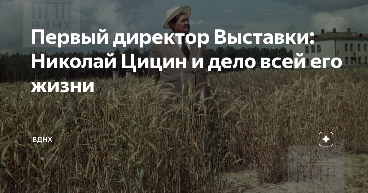 Первый директор Выставки: Николай Цицин и дело всей его жизни | ВДНХ | Дзен